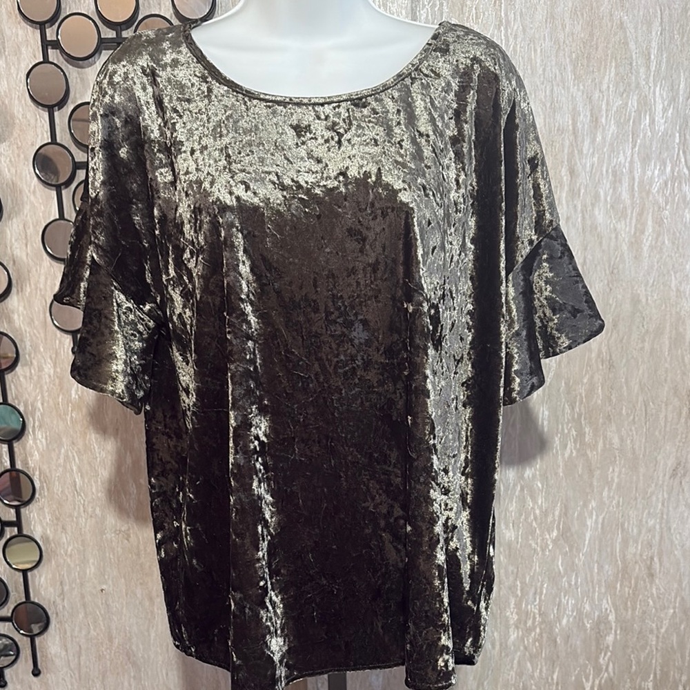 Mystree Shimmering Velvet Blouse